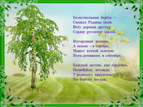 Белоствольная береза символ Родины Автор. Белоствольная береза символ Родины моей стихотворение.