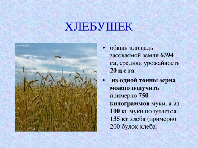 Сколько нужно муки чтобы испечь 1 кг хлеба