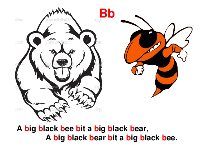 A bit. Скороговорка Black Bear. A big Black Bug bit a big Black Bear. Скороговорка a big Black Bear. Big Black Bug Beat the big Black Bear.