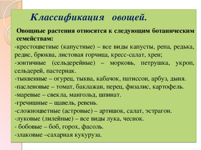 Крестоцветные овощи перечень. Овощи семейства крестоцветных перечень. Крестоцветные растения список овощи. Капуста крестоцветные виды. Овощные культуры семейства крестоцветных.