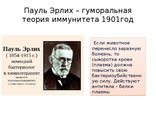 Пауль Эрлих – гуморальная теория иммунитета 1901год  Если животное перенесло заразную болезнь, то сыворотка крови (плазма) должна повысить свою бактериоубийственную силу. Действуют антитела – белки плазмы 