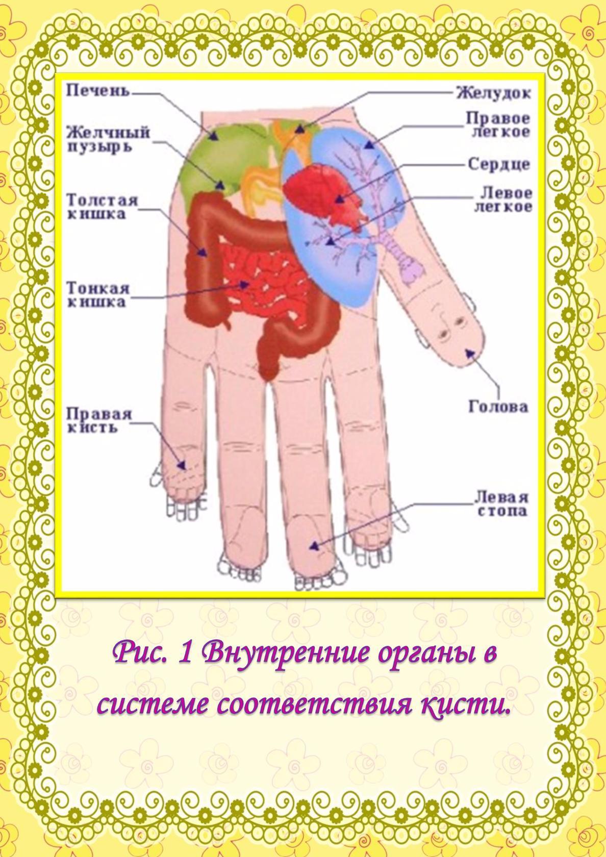 Су джок терапия картинки