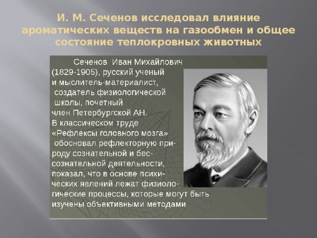 Ученый изучал влияние. Достижения Сеченова. И М Сеченов достижения. Что исследовал Сеченов. Сеченов открытия.