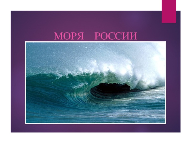 Наши моря презентация