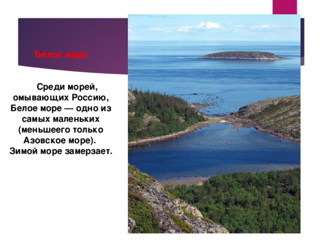 Белое море презентация. Незамерзающие моря омывающие Россию. Не замерзают моря омывающие Россию. Не замерзабти моя омывающие Росси. Какие моря России замерзают.