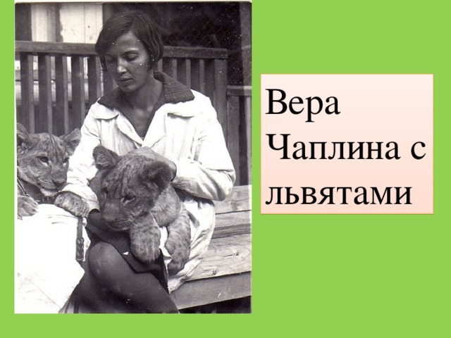 Кинули веры чаплиной. Чаплина писательница. Портрет веры Чаплиной.