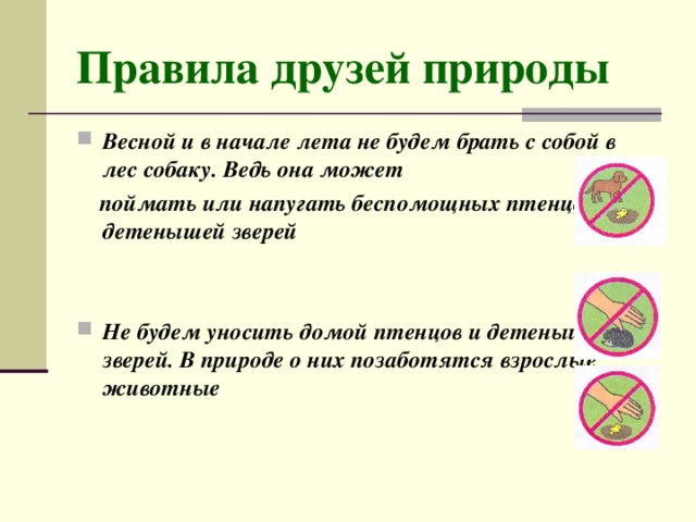 2 3 правила друзей. Правило друзей природы. Охрана животных правила друзей природы. Правила друзей природы 2 класс. Правила друзей природы 3 класс.