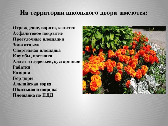 На территории школьного двора имеются:   Ограждение, ворота, калитки Асфальтовое покрытие Прогулочные площадки Зона отдыха Спортивная площадка Клумбы, цветники Аллеи из деревьев, кустарников Рабатки Розарии Бордюры Альпийская горка Школьная площадка Площадка по ПДД   
