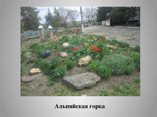 Альпийская горка 