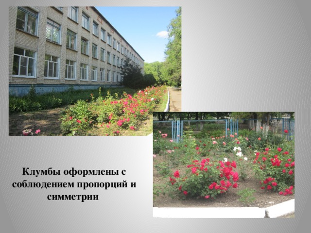 Клумбы оформлены с соблюдением пропорций и симметрии 