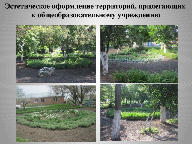 Эстетическое оформление территорий, прилегающих к общеобразовательному учреждению 