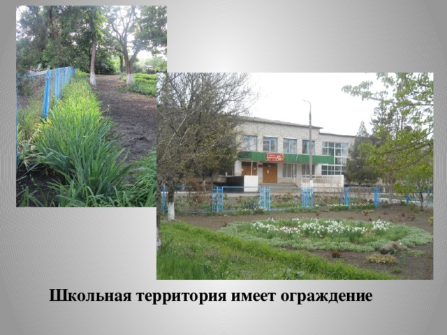 Школьная территория имеет ограждение 