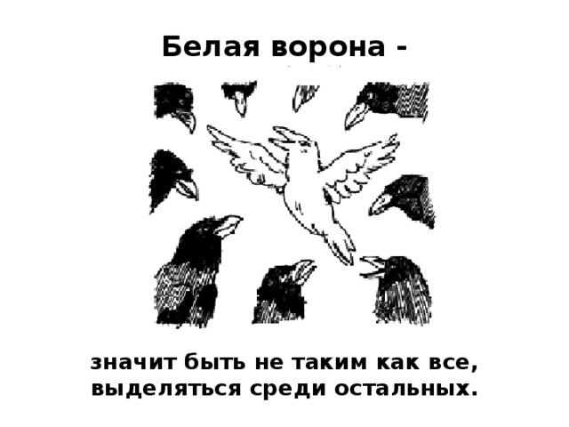 Белая ворона - значит быть не таким как все, выделяться среди остальных. 