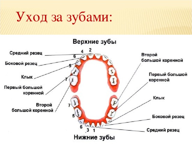Уход за зубами: 