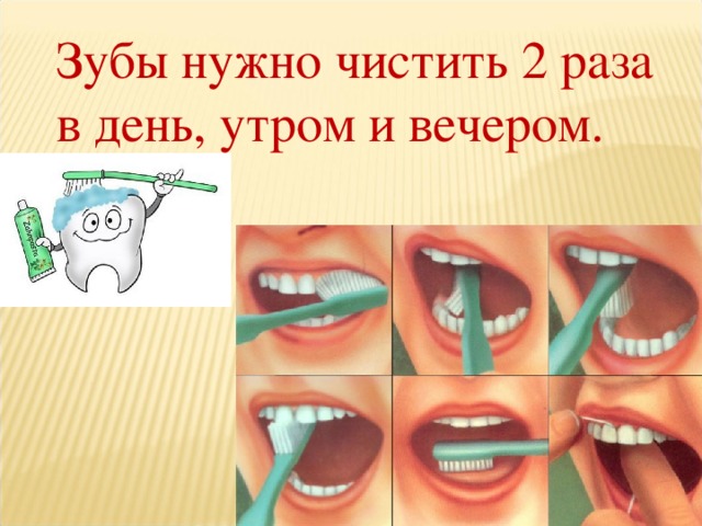 Видеоурок почему нужно чистить зубы и мыть руки презентация 1 класс окружающий мир плешаков