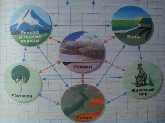 Северная евразия воды. Внутренние воды Евразии схема. Типы внутренних вод Евразии. Внутренние воды Евразии 7 класс. Водные ресурсы Евразии.