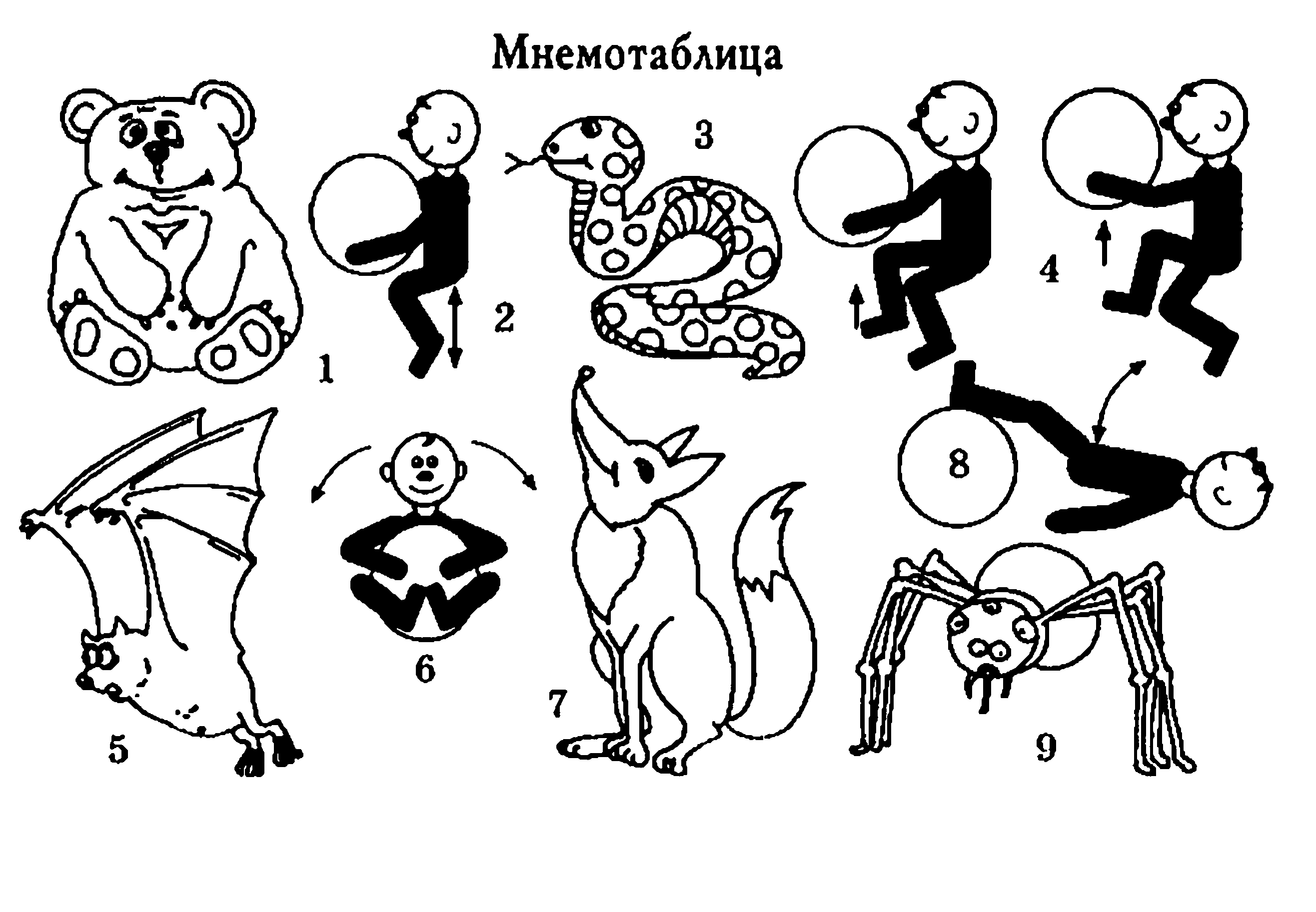 Гимнастика животных. Схемы упражнений для детей. Имитационные упражнения животных для детей. Упражнения животные движения для детей. Имитация движений животных для детей.