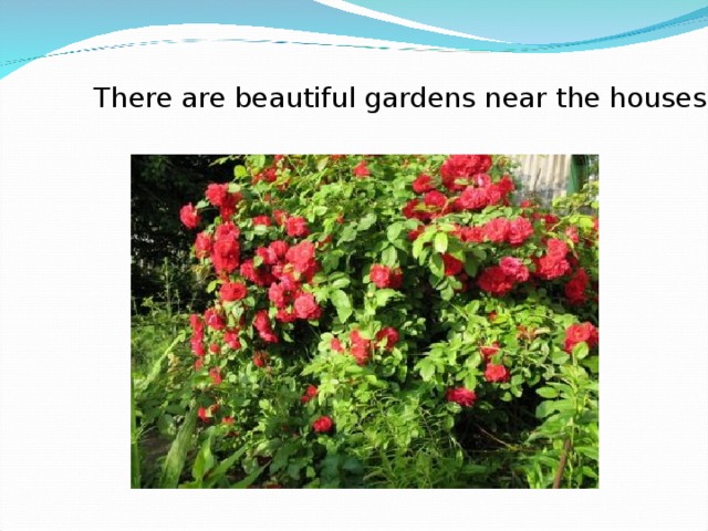 There are beautiful gardens near the houses.