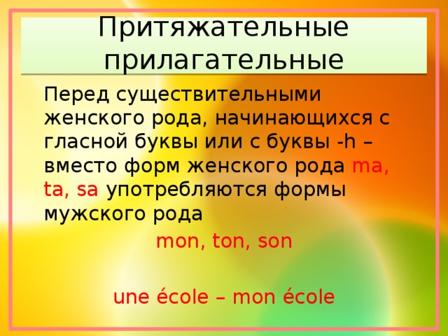 Прилагательное на гласную букву. Притяжательные прилагательные. Притяжательные прилагательные во французском языке. Притяжательные прилагательные во французском языке таблица. Притяжательные прилагательные женского рода.