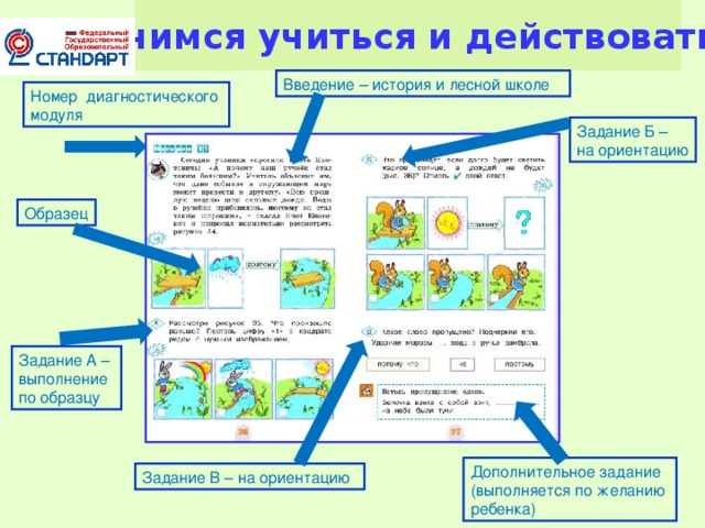 Учимся учиться и действовать Введение – история и лесной школе Номер диагностического модуля Задание Б – на ориентацию Образец Задание А – выполнение по образцу Дополнительное задание (выполняется по желанию ребенка) Задание В – на ориентацию 16