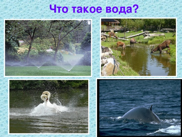 Что такое вода? 