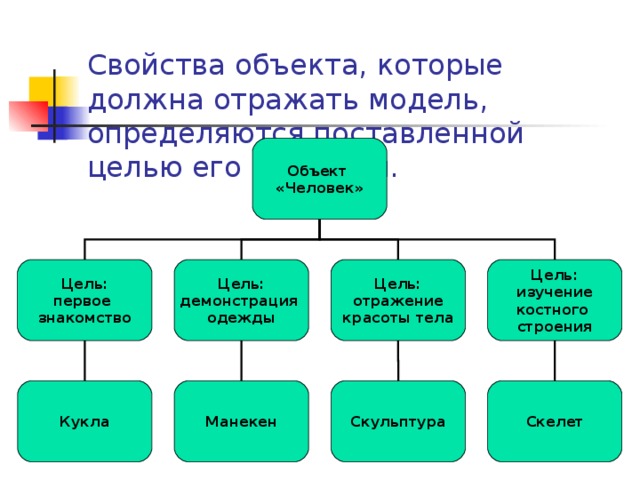 Свойства объекта, которые должна отражать модель, определяются поставленной целью его изучения. Объект «Человек» Цель:  первое знакомство Цель:  демонстрация одежды Цель:  отражение  красоты тела Цель:  изучение  костного строения Кукла Манекен Скульптура Скелет 