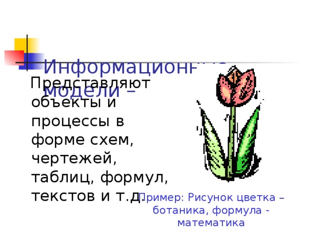  Информационные модели –    Представляют объекты и процессы в форме схем, чертежей, таблиц, формул, текстов и т.д.  Пример: Рисунок цветка – ботаника, формула - математика 