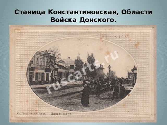 Станица константиновская. Станица Константиновская 1901 год. Станица Константиновская история. Станица Константиновская 1900 год.