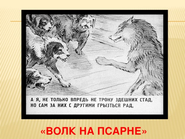 «волк на псарне» 