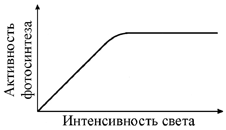 На рисунке изображена зависимость интенсивности жизнедеятельности организма от количества