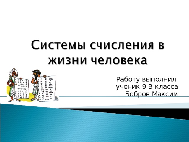 Работу выполнил ученик 9 В класса Бобров Максим