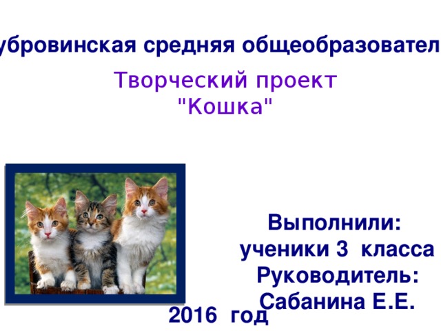 Информационно творческий проект кошки 2016г