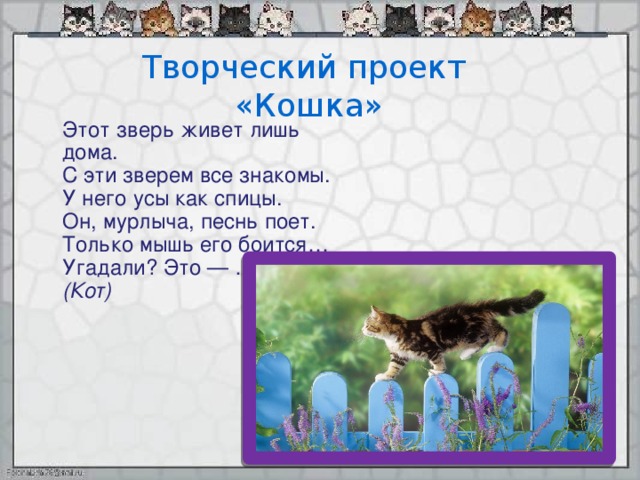 Проект про кошку 1 класс окружающий мир. Проект про кошек. Проект кошки презентация. Рассказ про кошку 2 класс. Проект про кошек по окружающему миру.