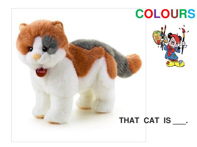 C O L O U R S THAT CAT IS ___. 