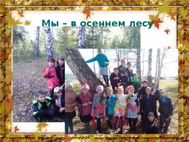 Мы – в осеннем лесу 
