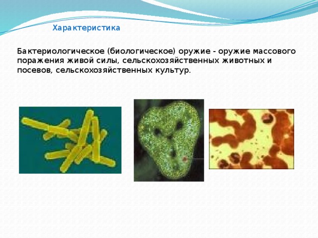 Презентация на тему ядерное химическое и биологическое оружие