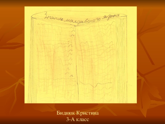 Биднюк Кристина 3-А класс 