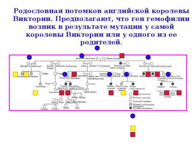 Потомок на английском. Родословная по гемофилии королевы Виктории. Виктория Королева Великобритании генеалогическое Древо. Родословная королевы Виктории наследование гемофилии. Генеалогическое Древо королевы Виктории гемофилия.