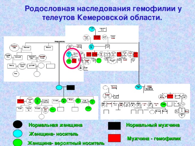 Схема наследования гемофилии