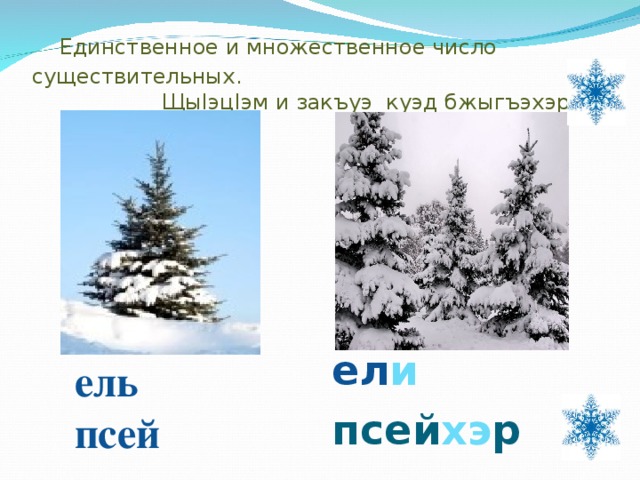  Единственное и множественное число существительных.  Щы I эц I эм и закъуэ куэд бжыгъэхэр. ел и  псей хэ р ель  псей 