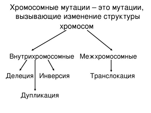 Хромосомные мутации – это мутации, вызывающие изменение структуры хромосом   Внутрихромосомные Межхромосомные Делеция Инверсия Транслокация  Дупликация  