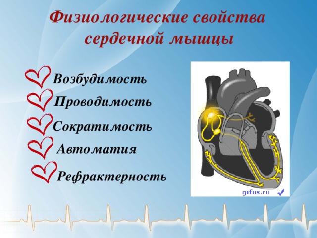 Физиологические свойства сердечной мышцы Возбудимость Проводимость Сократимость Автоматия Рефрактерность 