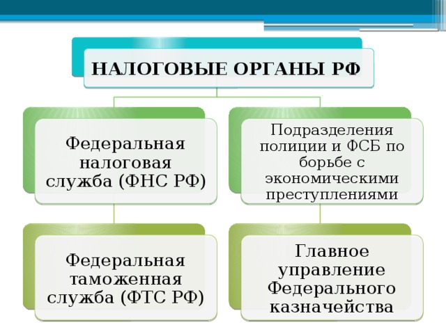 Финансовое и налоговое право налоговые органы аудит презентация 11 класс