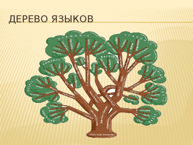 Язык tree. Индоевропейская языковая семья Древо. Языковое Древо славянских языков. Генеалогическое Древо индоевропейской семьи. Генеалогическое дерево языков.