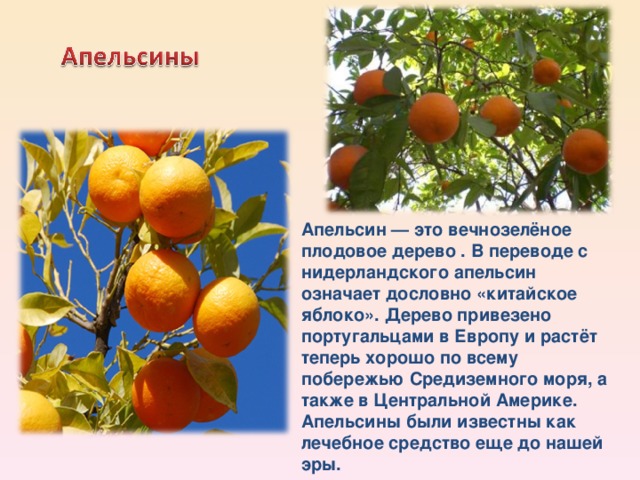 Что на фене означает апельсин