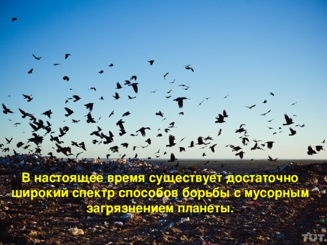 В настоящее время существует достаточно широкий спектр способов борьбы с мусорным загрязнением планеты. 