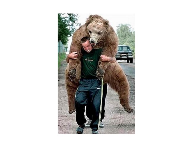 Песня еду к мужику а вас че. Мужчина медведь. Медведь и человек. Мужик и медведь. Российский мужик с медведем.