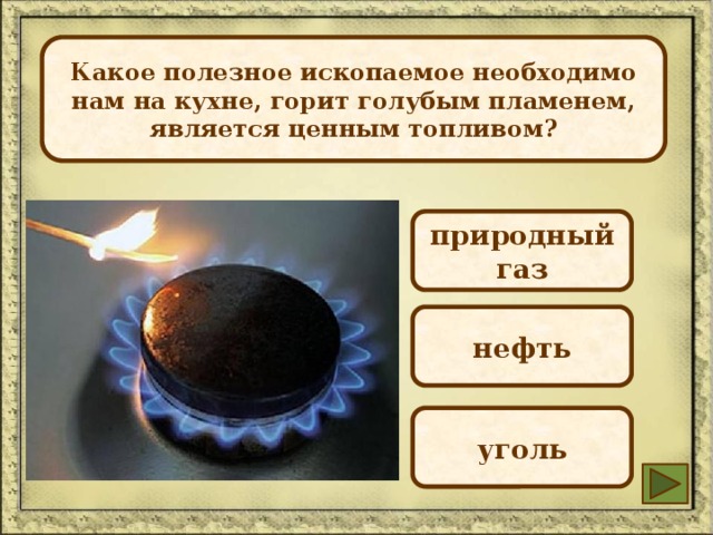 Процесс образования какой органической горной породы показан на рисунке нефть уголь торф