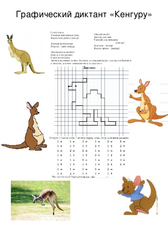 Графический диктант «Кенгуру» 
