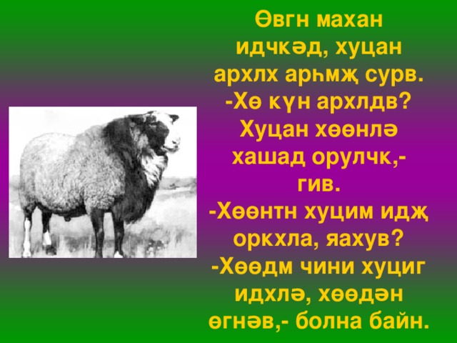 Өвгн махан идчкəд, хуцан архлх арһмҗ сурв.  -Хө күн архлдв? Хуцан хөөнлə хашад орулчк,- гив.  -Хөөнтн хуцим идҗ оркхла, яахув?  -Хөөдм чини хуциг идхлə, хөөдəн өгнəв,- болна байн. 